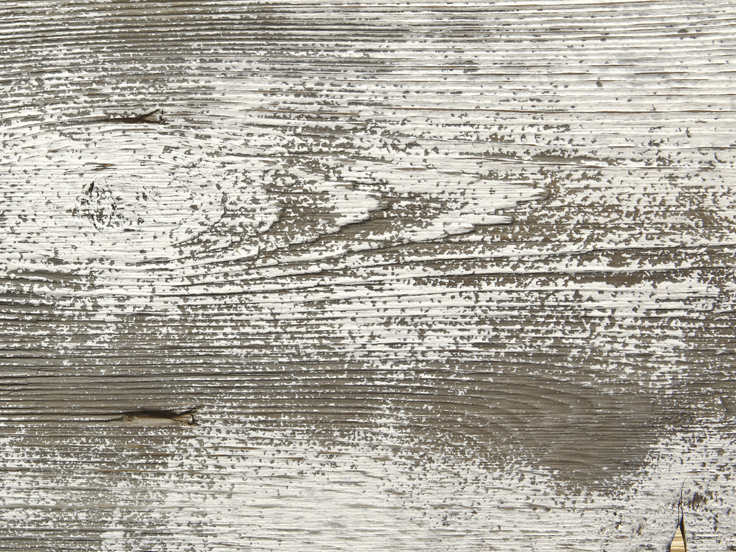 Barn Board Wood Sample Questions & Answers